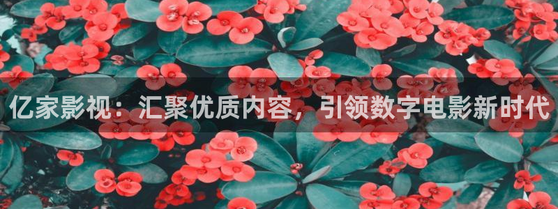 樱花动漫免费观看网：亿家影视：汇聚优质内容，引领数字电影新时代