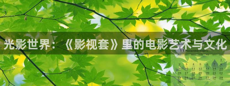 风车动漫在线观看免费高清樱花动漫：光影世界：《影视套》里的电影艺术与文化