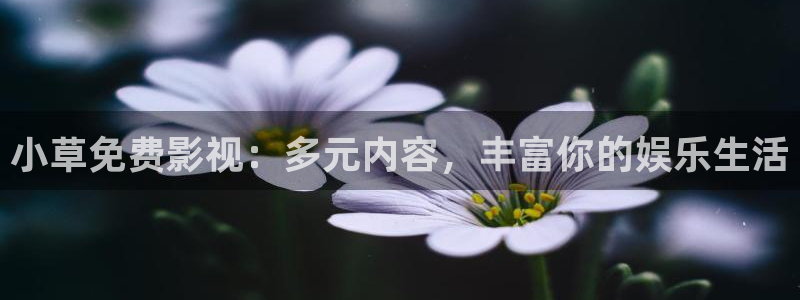镖人动漫免费观看高清樱花：小草免费影视：多元内容，丰富你的娱乐生活