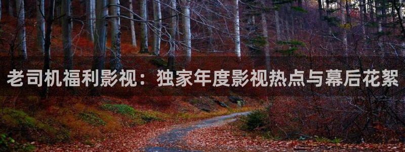 坂本日常全集免费观看樱花：老司机福利影视：独家年度影视热点与幕后花絮