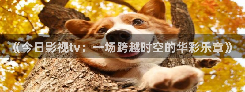 日本樱花动漫在线观看：《今日影视tv：一场跨越时空的华彩乐章》