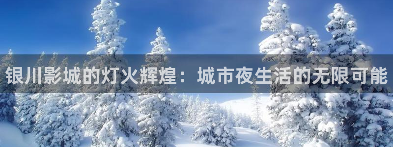 18樱花视频：银川影城的灯火辉煌：城市夜生活的无限可能