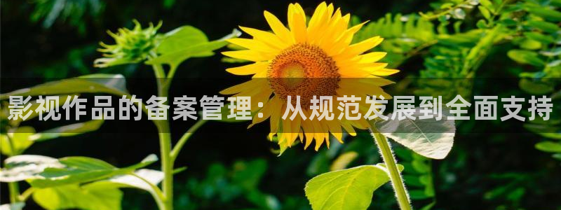 樱花校园怀孕视频：影视作品的备案管理：从规范发展到全面支持